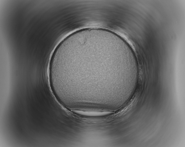 X0000093401343200711091334