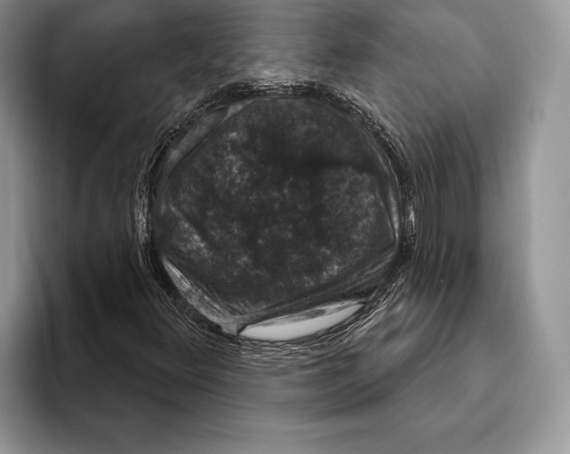 X0000093401348200711091333