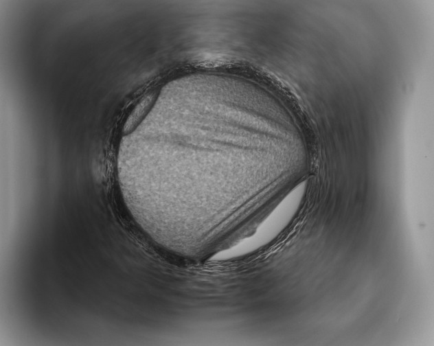 X0000093401349200711091333