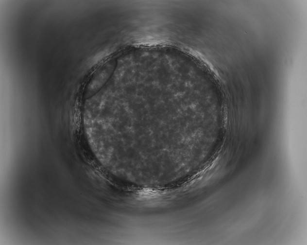 X0000093401350200711091333