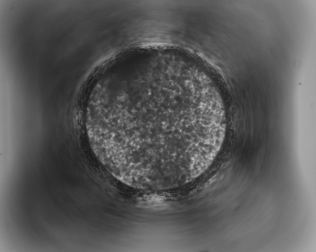 X0000093401351200711091333