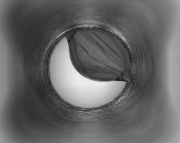 X0000093401352200711091333