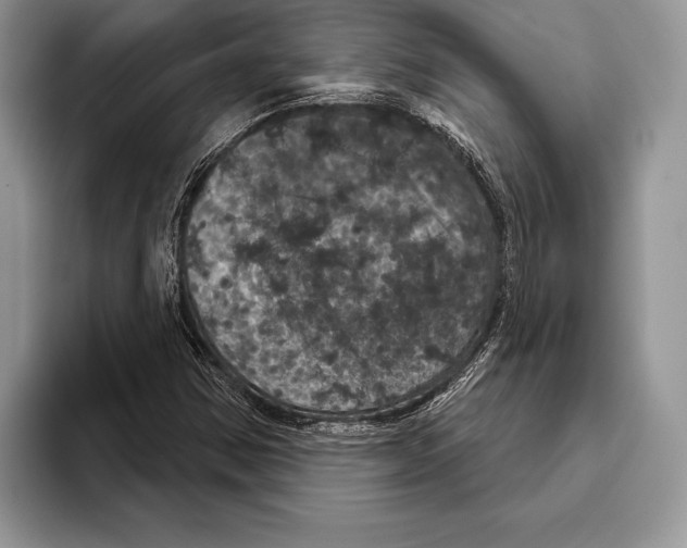 X0000093401354200711091333