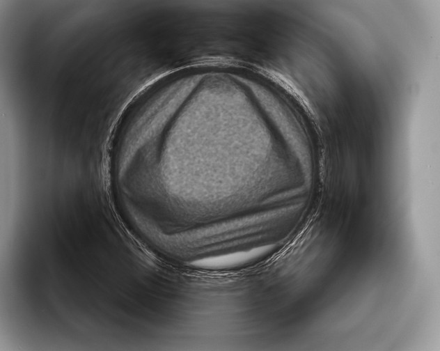 X0000093401356200711091333