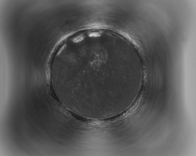 X0000093401358200711091333