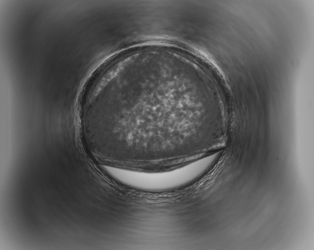 X0000093401360200711091333