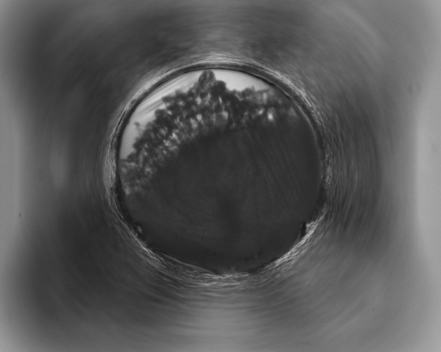 X0000093401367200711091333