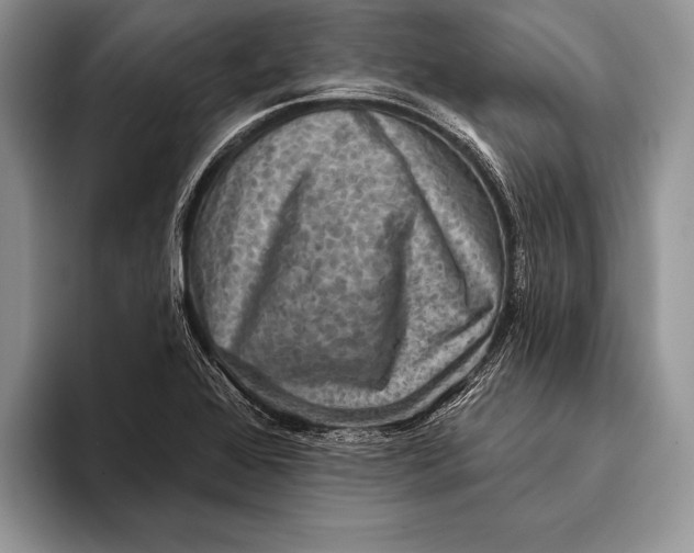 X0000093401368200711091333