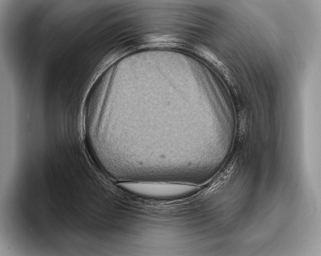 X0000093401370200711091333