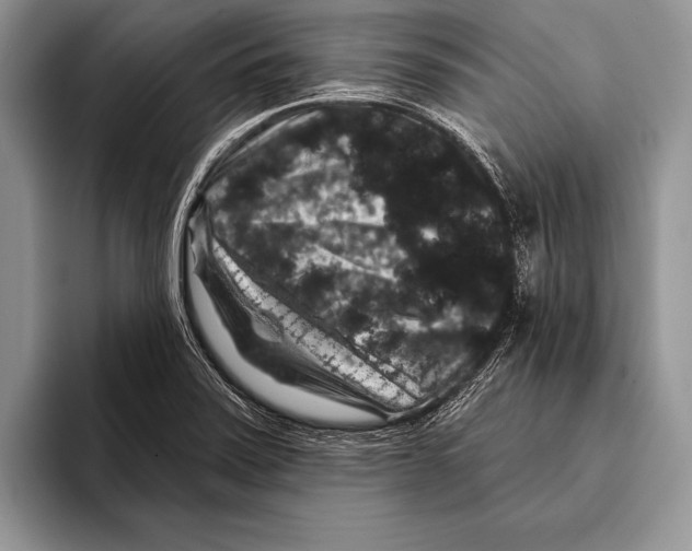 X0000093401371200711091333