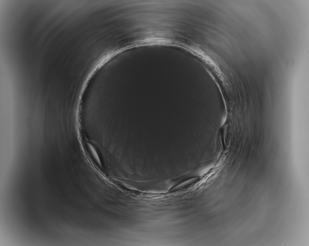 X0000093401373200711091333