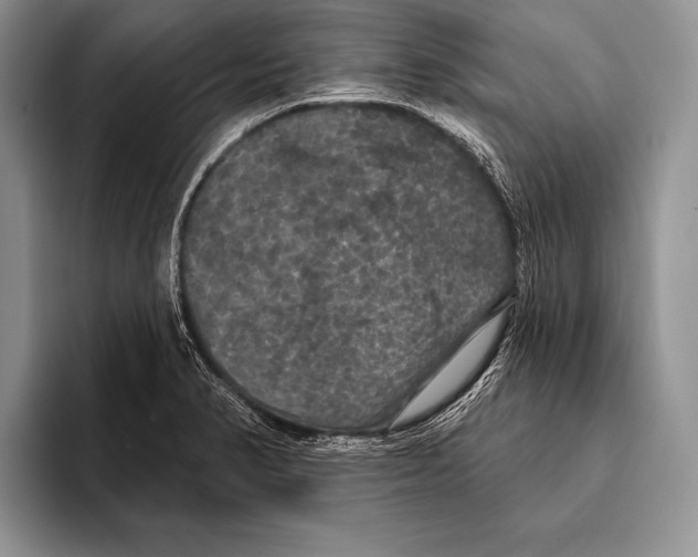 X0000093401374200711091333