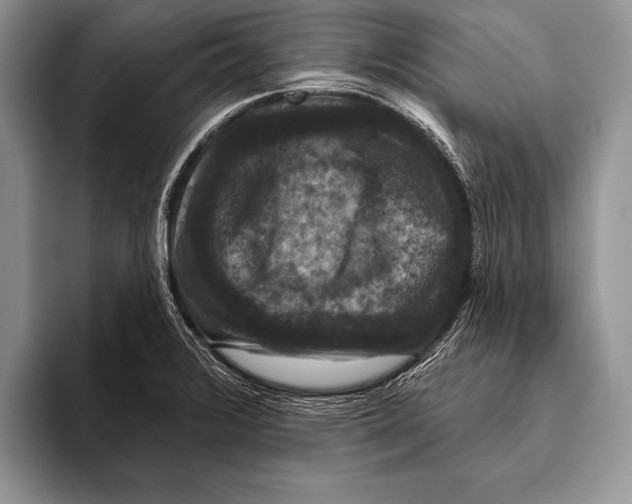 X0000093401376200711091333