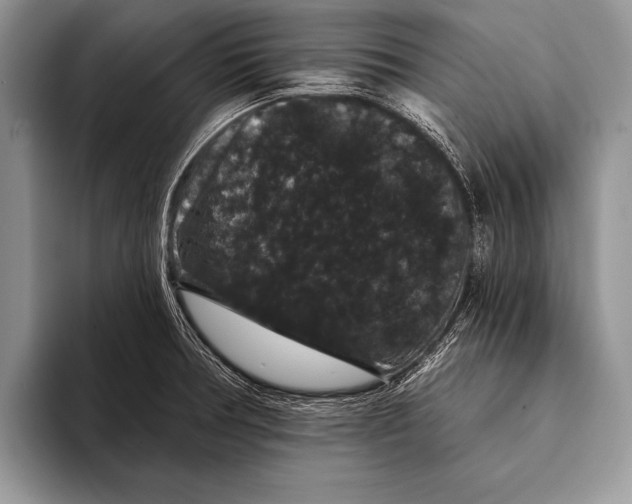 X0000093401378200711091333