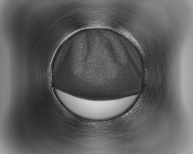 X0000093401380200711091333