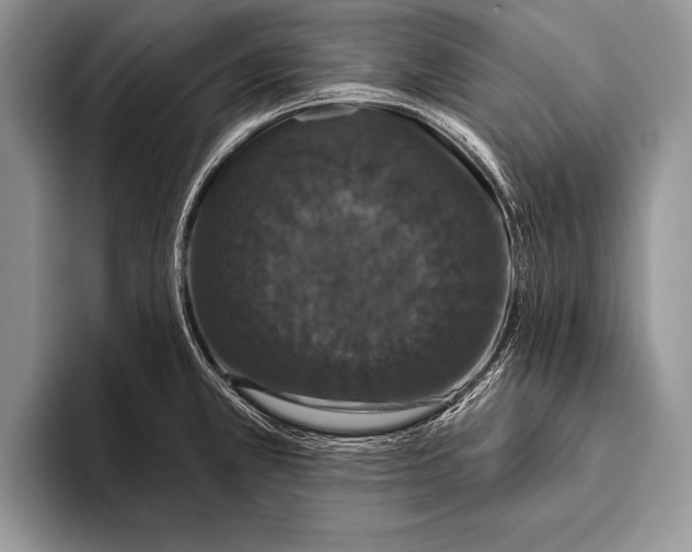X0000093401381200711091333