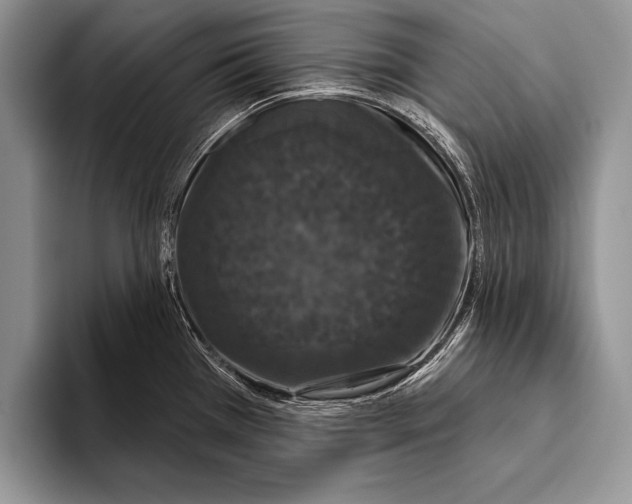 X0000093401385200711091333