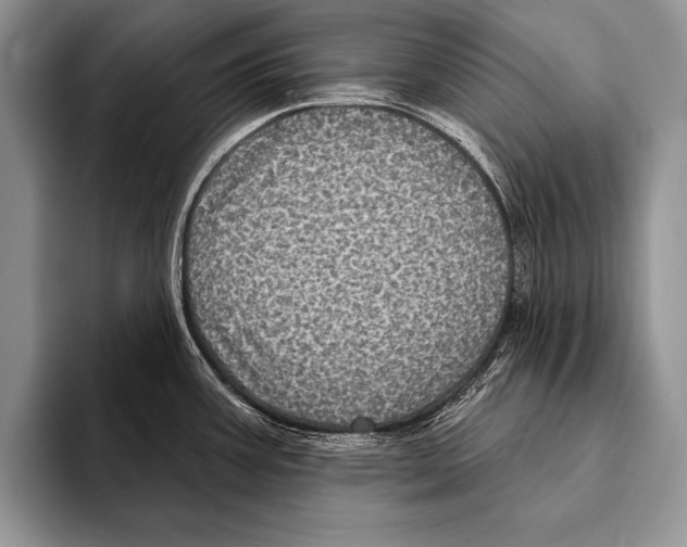 X0000093401387200711091333