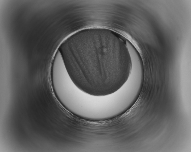 X0000093401388200711091333