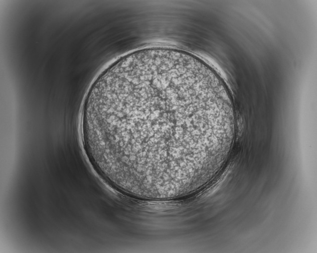 X0000093401391200711091333