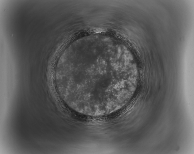 X0000093401393200711091332