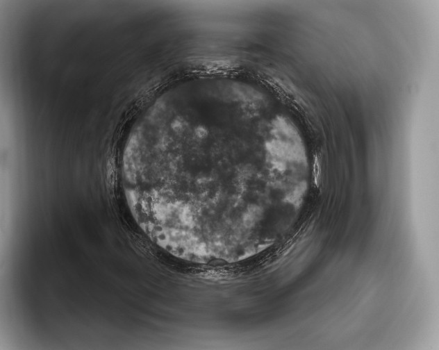 X0000093401395200711091332