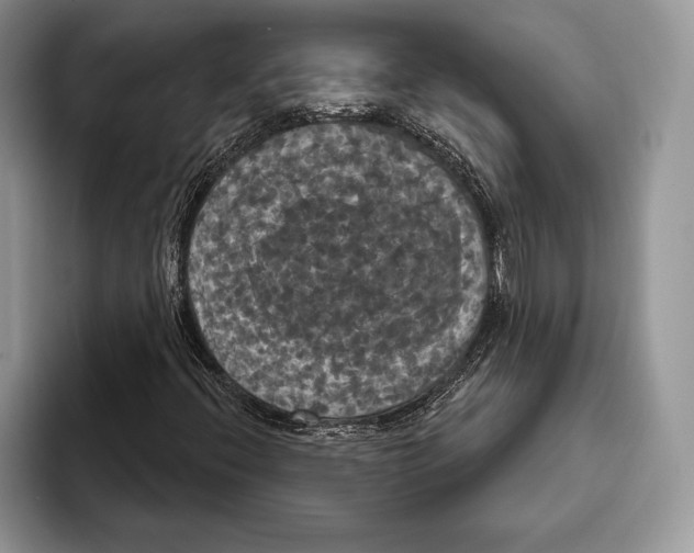 X0000093401396200711091332