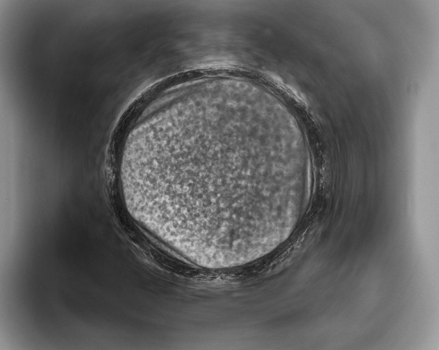 X0000093401400200711091332