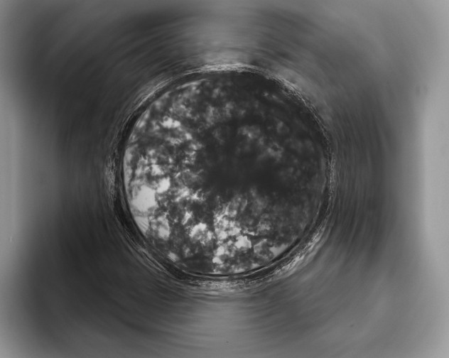 X0000093401401200711091332