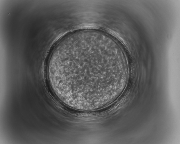 X0000093401404200711091332