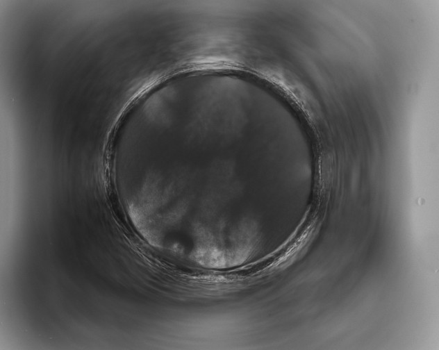 X0000093401405200711091332