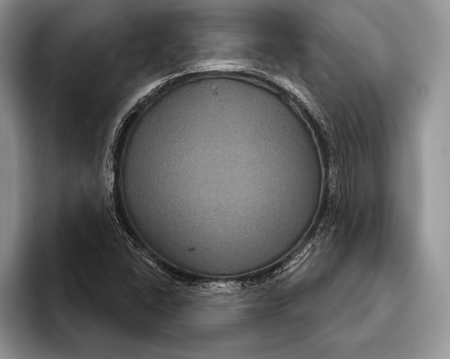 X0000093401406200711091332