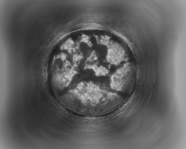 X0000093401407200711091332