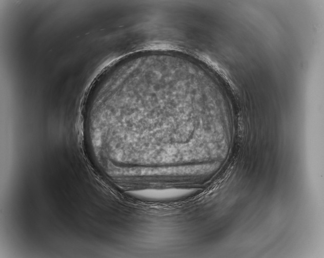 X0000093401408200711091332