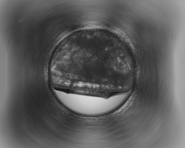 X0000093401409200711091332