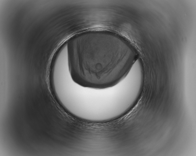 X0000093401410200711091332