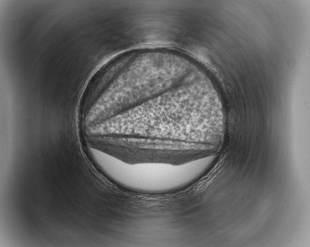 X0000093401412200711091332