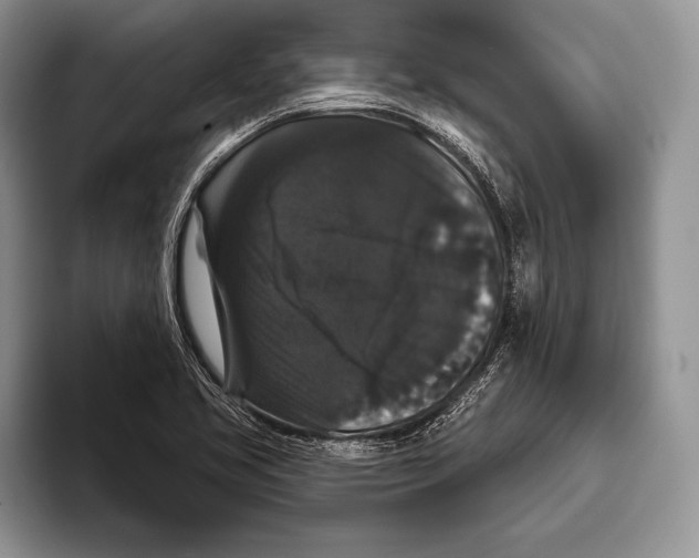 X0000093401413200711091332