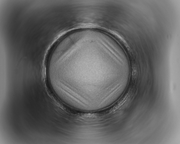 X0000093401414200711091332