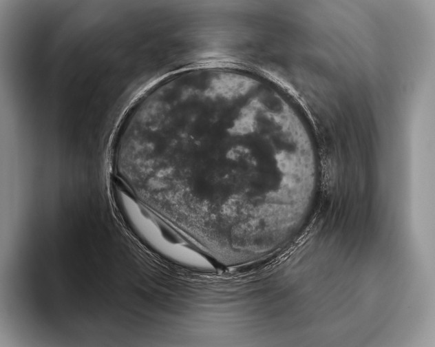 X0000093401415200711091332