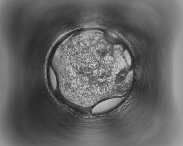 X0000093401416200711091332