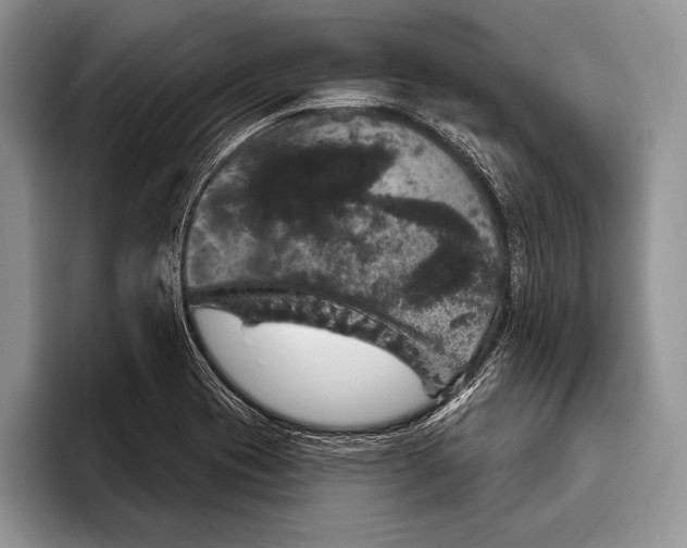 X0000093401417200711091333