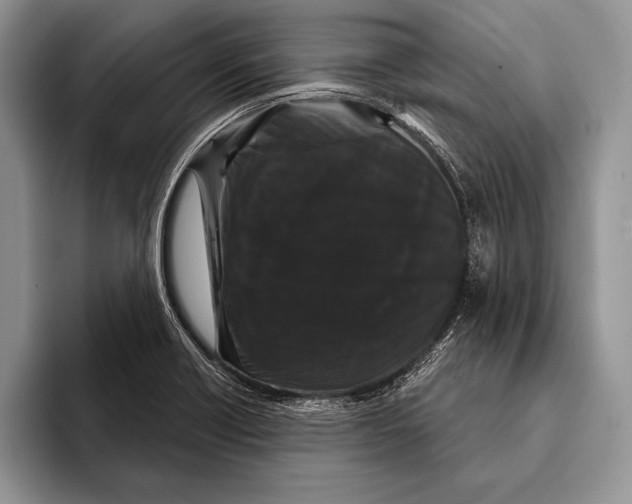 X0000093401418200711091333