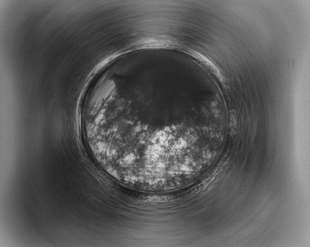 X0000093401419200711091333