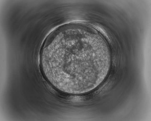 X0000093401420200711091333