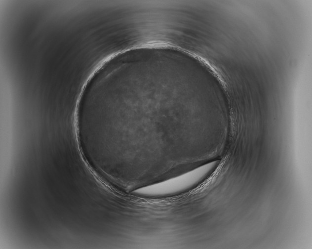 X0000093401422200711091333