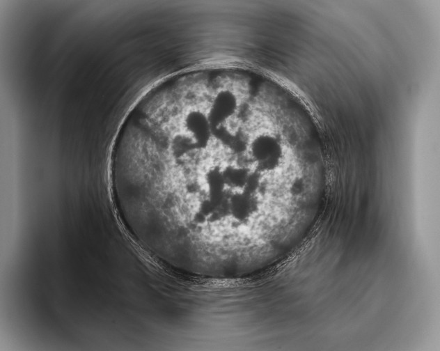 X0000093401423200711091333