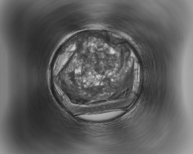 X0000093401424200711091333