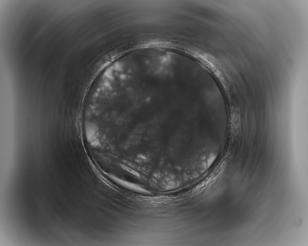 X0000093401425200711091333