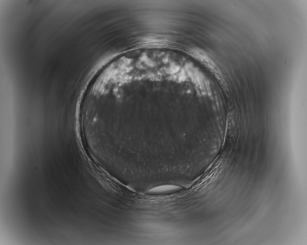 X0000093401427200711091333